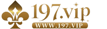 197vip44 com